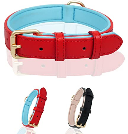 Leather Dog Collar Soft Padded Adjustable Pet Collar for Puppy & Cat Red,XS | Heavy Duty Red Leather Collar for Small Medium Dogs Breathable Padded Collar with Sturdy Metal Buckle & D-Ring for daily walk