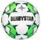 Derbystar Brillant APS V22