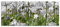 Pixxprint Glasbild Panorama, Wandbild aus Echtglas, Blumenwiese Mohnblumen, 120x50 cm, inkl. Aufhängung und Abstandshalter