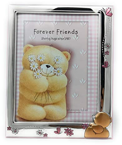 Forever Friends Marco de fotos de 20 x 16 cm.