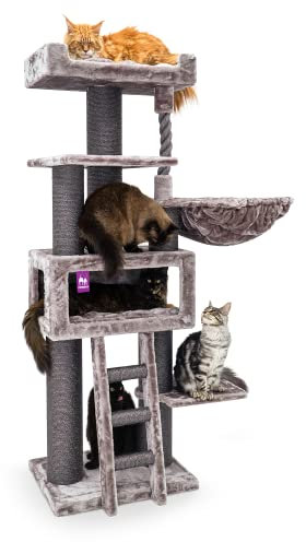 Petrebels Premium Qualität Kratzbaum groß Parklane 175 cm hoch, mit XXL Hängematte, Schlafhöhle, Sofa und extra Dicke Stämme, Farbe Cappuccino
