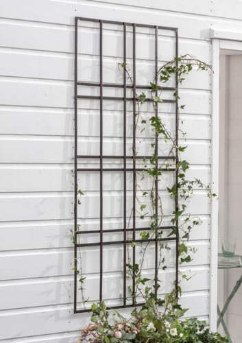 Metal Garden Wall Trellis 120 x 60cm Climbing Plant Support, Metal Wall Hung Plant Trellis, Large Metal Plant Support, Rectangular Plant Trellis, Garden Art Decoration