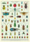 Poster - Bugs & Insekten - Cavallini & Co - Vintage Schulplatte Insekten