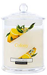 Wax Lyrical Jar Candle Small Lemon Grove