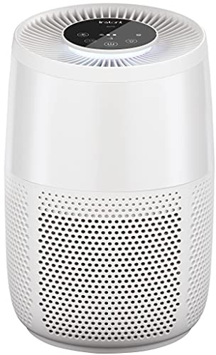 Instant Air Purifier AP100,Helps to remove 99.9 Percent of Viruses, Bacteria and Allergens, Advanced 3-in-1 HEPA Filtration System-Pollen Filtration,Air Cleaner,Dust Extraction,Home and Business use