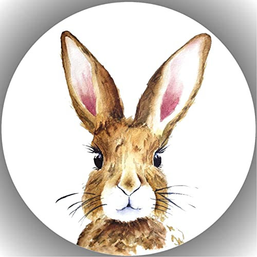 Fondant Tortenaufleger Tortenbild Geburtstag Ostern/Hase/Osterhase K15
