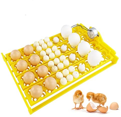 PAIDUOJI Bandeja de huevos para incubadora, 24 bandejas de plástico de giro automático de huevos, huevos de gallinas, patos, pájaros, motor de giro automático de 220 V, 0,63 kg