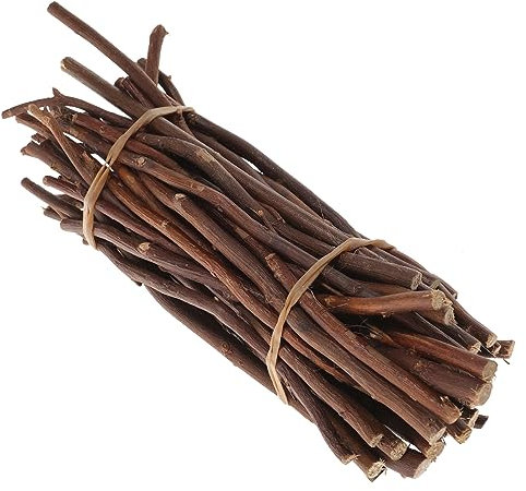 EXCEART Vase 50 Stück Zweigmaterial Dekor Holzrohr Eis Am Stiel Dekor Birkenstämme Natürliche Zweige Stäbchen Natürliche Birkenzweige Foto-Requisiten Bastelzubehör Basteln Für