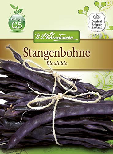 Chrestensen Stangenbohne 'Blauhilde' Saatgut