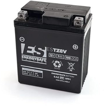 BATTERIA ENERGY SAFE ESTZ 8V