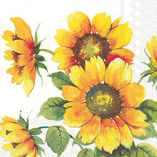 Boston International L863100 IHR 20-Count Luncheon 3-Ply Papierservietten, Papier, Bunte Sonnenblumen