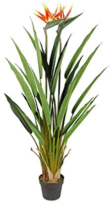 kunstpflanzen-discount.com Künstliche Strelitzie 135cm mit 2 farbenfrohen Blüten und 3 Stämmen im bemoosten Topf