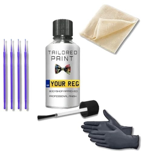 Mixed by Reg Registration Plate Car Touch Up Paint Kit All In 1 Formula Perfect Colour Match Car Paint Check