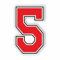 AMA SHOP Adesivo Sagomato Numero moto personalizzabile |Sticker per Casco,Moto, Camper,Barca | autoTuning |
