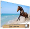 TRIOSK Große Motivplane Sichtschutz Zaunblende mit Motiv Pferd Sandstrand Meer Strand Motivbanner Garten Deko Plane Blickdicht für Zaun Terrasse Gartenzaun Zaunplane PVC 340x173 cm