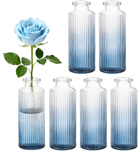 Segus Petit Vase en Verre, 6 Pièces Vases Decoratifs pour Table, pour Centres de Table de Mariage, Arrangements Floraux, Fêtes (Dégradé de Bleu)