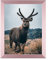 Rahmendesign24 Posterrahmen Milano 70x100 Roségold Fotorahmen, Wechselrahmen, Bilderrahmen, Puzzlerahmen