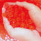 Risai Wasserkugeln, Kristallgel-Perlen, perfekt für Hydrogel-Pflanzen, Vasenfüller, Mittelstück, Silikon-Kugeln, Gelee-Edelsteine, Wachstumsperlen 5000pcs, Red 100g