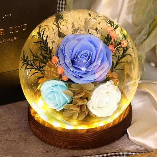 Die Schöne und das Biest, Rosenblüte, Geschenke für Frauen, Ewige Rose im Glas, Geschenk für Mutter, einzigartige Geburtstagsgeschenke für Ihre(hellblau)