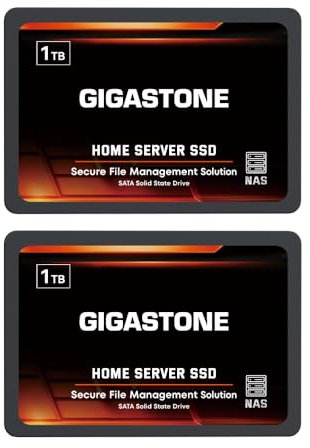 Gigastone Serveur SSD 1To (Lot de 2) NAS SSD Cache 24h/24, 7j/7 TLC Haute Endurance Business Secure Personal Cloud Créatif Professionnel Réseau Attaché Stockage Raid 2,5 SATA Disque Dur Interne SSD