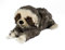 Warmies® Wärmekissen/Stofftier Minis Faultier herausnehmbare Hirse Lavendelfüllung 20cm 280g (exklusives Warmies-Design für Greenlife Value)