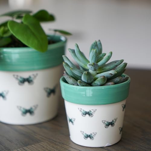 Ivyline Planter, Ceramic, Butterfly, 7 x 7cm