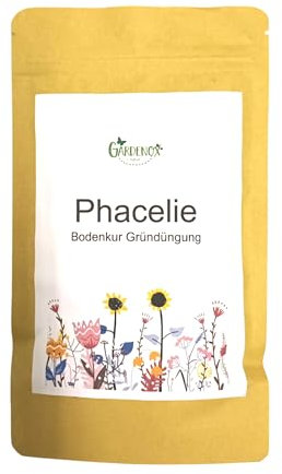 Phacelie Samen Bienenfreund Phacelia tanacetifolia 400 Gramm für 140 qm Bodenkur Bienenweide Gründünger