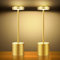 Hapfish 2 Pack Rechargeable Cordless LED Table Lamp, 5000mAh Battery Operated Table Lamps, 3 Color Modes, Dimmable, USB Desk Light for Home, Dining, Indoor, Outdoor, Living Room – Gold
