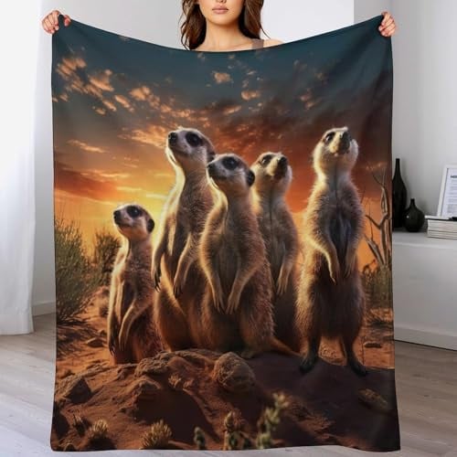 PAZZK Erdmännchen Decke, Flannel Tagesdecke Couchdecke Sesseldecke Wohndecke Vier Jahreszeiten Decke Kuscheldecke Sofadecke Mit Muster,(130×150cm)