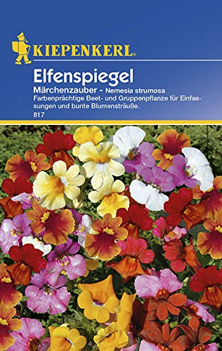 Elfenspiegel Nemesia Märchenzauber von Kiepenkerl