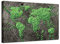 XUSANSHI Image sur Toile Carte du Monde Vert Mural Art Tableau Peinture Impression Peinture Murale d'art sans Cadre 50x90cm