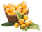 Wollmispel samen säulenobstbäume winterhart, kleines geschenk für frauen, seltene pflanzen pflanzensamen baumsamen bäume gartenpflanzen winterhart, obstpflanzen dekopflanzen 10pcs