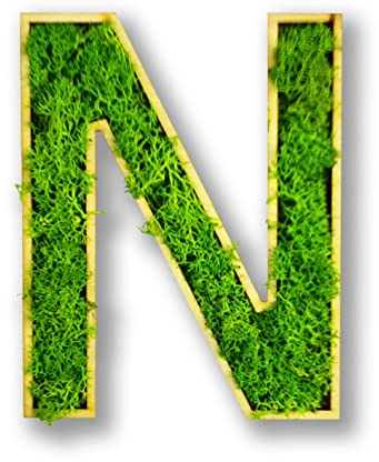 Acryltypo Moosly® Holzbuchstabe – N - mit Rahmen aus Holz, Moos Deko Buchstaben Zeichen Symbol Zahl - Holzbuchstabe mit echtem Islandmoos - Wandbilder Wohnzimmer Deko Wand Bilder Wohnzimmer Bilder