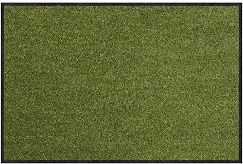 Salonloewe Fußmatte waschbar Salbei 50x75 cm Sauberlaufmatte, Fußabtreter außen, Motiv-Fußmatte, Wohnmatte
