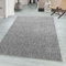 Teppium Moderner Kurzflor Teppich Wohnzimmer 300x400 (280 x 370 cm) Hellgrau - Waschbarer Teppich Meliert, Flauschig, Weich und Einfarbig - für Schlafzimmer, Esszimmer oder Küche