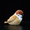 lilizzhoumax Feldsperling plüschtier 14cm/5” Simuliertes Tier Kawaii Feldsperling Plüsch Realistische Vogel Spatz Spielzeug für Wilde Tiere Geschenk für Kinder pelziges Stofftier Vogelsammlung