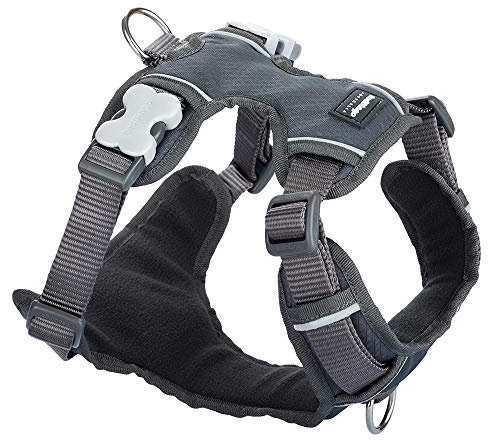 Red Dingo Gepolstertes Hundegeschirr, Größe XL, Cool Grey (DH-PH-GY-XL)