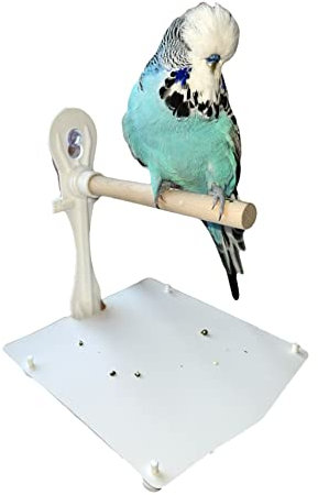 Sitzstange aus Naturholz mit Saugnapf für Vögel/Sittiche – 15 cm, Weiß