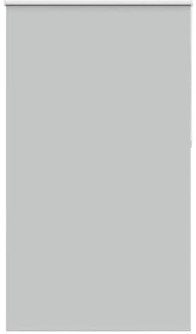 vidaXL Estor Enrollable Opaco Gris Claro 125x210 cm Tela Ancho 121,6cm, Estor día y Noche, Estor de Cocina, Estor Opaco Enrollable, Estor Opaco
