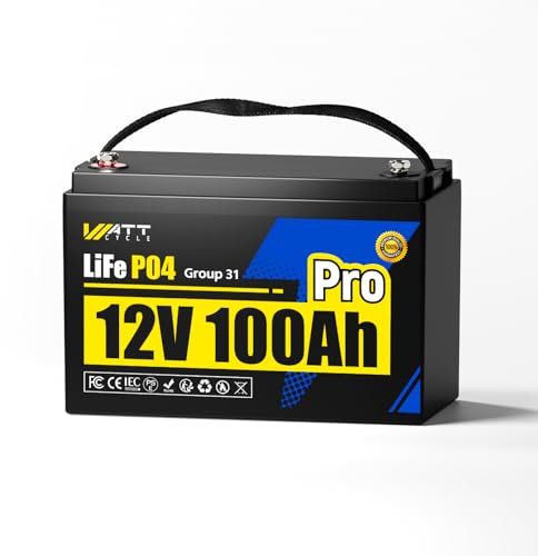 Batterie au Lithium LiFePO4 12 V 100 Ah - Groupe 31 - BMS 110A - Protection Basse Température - Maximum 20,48 kWh D'énergie - Idéale pour Marine, Bateau, RV, Solaire, Hors Réseau