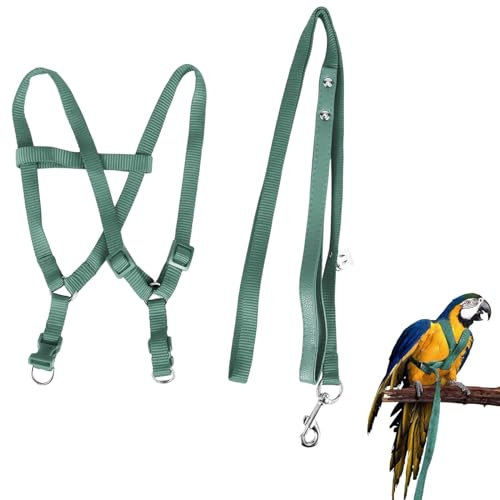 Felenny Vogelgeschirr Und Leine Verstellbare Vogelleine Unverzichtbares Zubehör Outdoor-Flug Anti-Biss Geeignet für Scharlachroten Ara Sun Conure Nymphensittich Papagei
