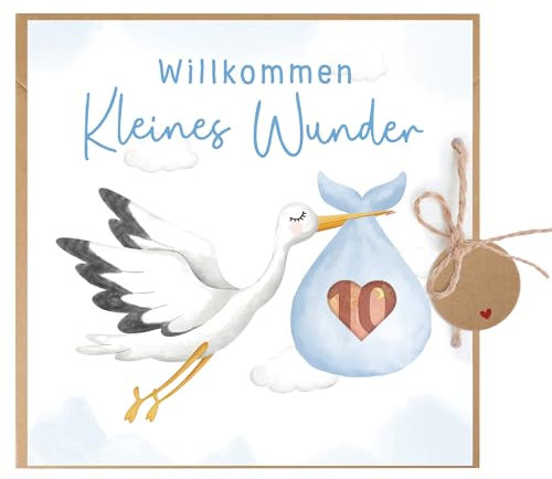 BETESSIN Welcome Home Baby Geschenke - Willkommen Zuhause Karte zur Geburt Junge - Glückwunschkarte mit Storch Motiv - Geburtskarte mit Umschlag - Geldgeschenke Verpackung zur Geburt & Babyparty