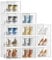 SIMPDIY Large Shoe Storage Box,12 pcs Shoe Boxes Clear Plastic Stackable, Shoe Organizer Containers with Lids for Women/Men,Fit UK 12