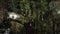 Komar Vlies Fototapete - Resting Leopard - Größe: 500 x 280 cm (Breite x Höhe) - Dschungel, Regenwald, Kinderzimmer, Tapete - IANGX10-001, Bunt