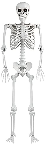 165 Cm Realistisches Kunststoffskelett, Skelett, Spukhaus-Dekoration, Geheimer Raum, KTV Liefert Simulations-Halloween-Requisiten (Weiß)