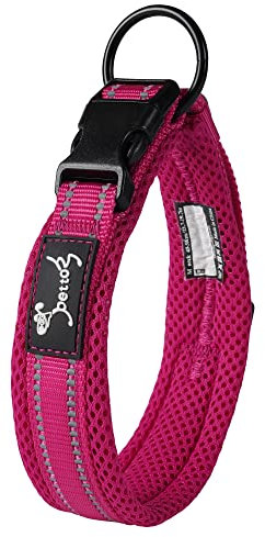 PETTOM Collare Cane Cani Cuccioli Piccola Taglia Media Grande con Targhetta Nome Riflettente Morbido Regolabile Imbottito Sicurezza Nylon Morbido Resistente Traspirante (Viola M)