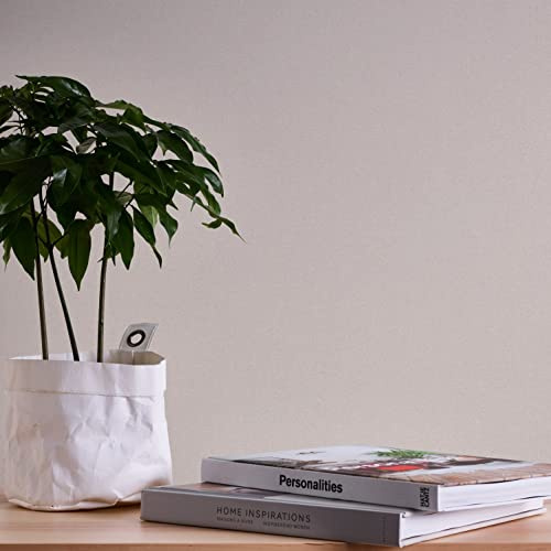A.S. Création Terra 389253 Non-Woven Wallpaper Plain Beige/Brown 10.05 m x 0.53 m Made in Germany