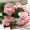 Geranienrot für rosa Blumen, bunt und realistisch, Hochzeitsdekoration (hell für rosa)