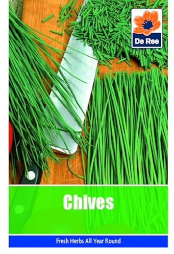 Chives Seeds - 150 Seeds Vegetable Grow Your Own Garden Salad Herb Vegetable Seed