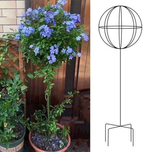DYPJHEO Iron Spherical Garden Stand,Black/White/Green,Lollipop Shaped, Plant Climbing Frame, for Growing Clematis,Windmill Jasmine and Moonflowers, 3 size Optional